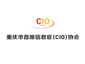 重庆市首席信息官（cio）协会